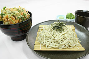 稲庭ざるうどん又は更科ざるそばと桜海老のかき揚げ丼